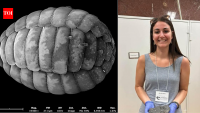 A scientist turned an $80 motel room into a makeshift lab; then she discovered two new species of microscopic amoebae