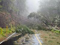 Tropical Cyclones Lala and Lowell Devastate Hawaii