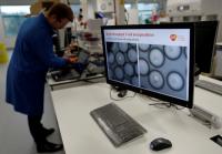 American scientists discover method to track cells associated with aging diseases