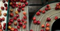 Corporate purchase of bankrupted apple company Gebbers Farms nearly complete
