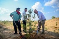 How an American teacher’s $5,000 donation helped turn a Chinese desert into a lush, green forest