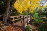 Best destinations for families to enjoy fall foliage themed getaway