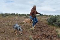 The Trump Administration’s Critical Minerals Agenda Comes for America’s ‘Forgotten Wildlife Corridor’