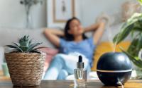 Tackling the Invisible Pollution in Homes, Schools and Workplaces