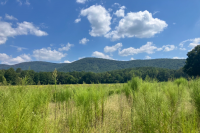 Georgia Department of Natural Resources and partners announce deal to restore beloved Pine Log Pine Log Wildlife Management Area