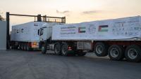Three UAE aid convoys carrying 458 tonnes enter Gaza