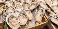 South Carolina recreational shellfish season opens Oct. 1