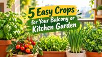 Gardening Tips: Want Fresh Veggies Fast? 5 Easy Crops for Your Balcony or Kitchen Garden