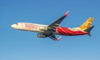 Boeing detects software glitch in 737 MAX, working on permanent fix