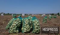 Morocco growth set to slow to 2.9% in 2027 as bumper harvest fades