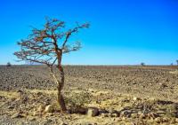 The Dominican Republic will face a moderate but persistent risk from El Niño