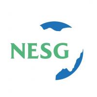 Nigeria Must Unlock Investment To Deliver Jobs, Productivity, Shared Prosperity—NESG