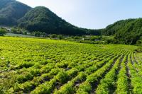 Federal Agricultural Mortgage: Locking In 7.28% With Preferred Shares