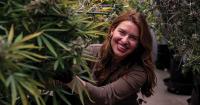 Federal rescheduling to impact taxes, operations of medical marijuana businesses