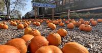 38 things to do in Philly, the suburbs and South Jersey this weekend, Oct. 23-25