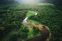 3.7 million acres of forest to strengthen Guyana’s sustainable tourism model