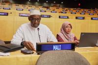 Malian foreign minister says terrorism in Sahel receives external support