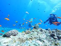 Tourism Administration issues diving guidelines for better water activity safety