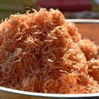 First Welfare Guide for Shrimp Farming Published
