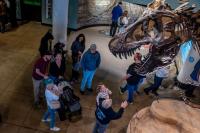 A final day at the Academy of Natural Sciences is bringing tears, nostalgia, and disbelief