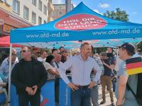 What the AfD’s Rise in Eastern Germany Means: An Analysis of Recent Elections