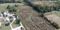 Bloomington corn maze celebrates IU football’s 2026 CFP National Championship win