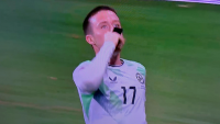 Ireland star makes clear Israel statement with celebration as players take action after controversy