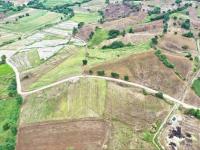 Construction starts on road for farmers