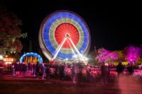 NightFest, Jessica Mauboy and Pinberra ’26: 80+ things to do in Canberra this week