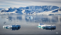 Greenland, Antarctica lose 11.3 trillion tonnes of ice since 1979