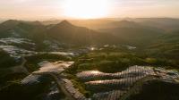 Aboitiz Renewables cites capacity growth after Enlit Asia recognition