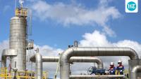 Why are high gas prices changing US job searches? Workers seek remote jobs and higher pay
