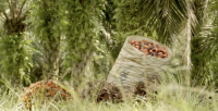 Ssese oil palm farmers seek suitable fertilizers
