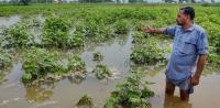 Godavari Swells in Mulugu: 1,000 Acres of Chilli Crops Submerged, NH-163 Traffic Disrupted