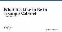 What It’s Like to Be in Trump’s Cabinet