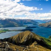 New Zealand wine exports rise despite global stagnation