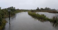 Parts of Delaware state parks close due to storm damage, DNREC surveys beaches
