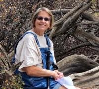 ACTION 8 UPDATE: Search for missing woman canceled in Andalusia