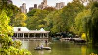 New York woman found stabbed to death in Central Park during massive Nor'easter storm