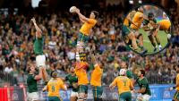 World Rugby rankings: Wallabies usurp Six Nations side and what Springboks defeat means for All Blacks
