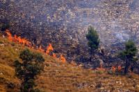 In Italy, wildfire and drought are driving families off land farmed for 500 years