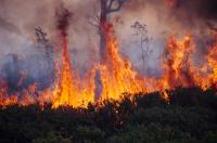 Climate support lacking
