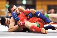 Rival bodies grapple for supremacy over governance of mixed martial arts