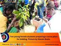 Bougainville Cocoa Festival Closes With Call to Build ‘Farm-to-Bar’ Industry