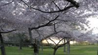 Sunny first week of school holidays in Hawke's Bay