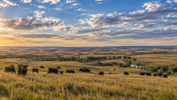 South Dakota Doesn’t Need Washington Democrats Telling Us How to Live