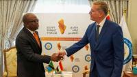 Egypt Seek Closer Cooperation with  Kenya, Tanzania in Mining Sector