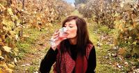 Mississippi River Wine Trail