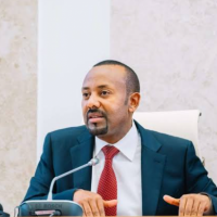 Ethiopia accuses Eritrea, Sudan of backing Tigray rebels amid clashes