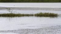 South Africa, Zimbabwe in talks over $500m dam project